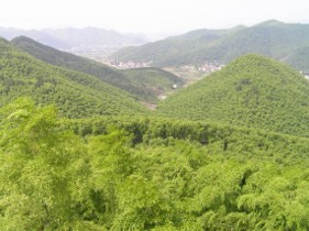 Bamboo Mountain 