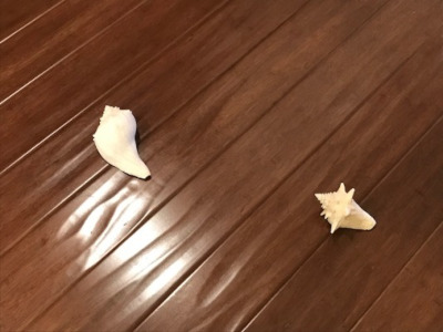 handscraped Bamboo flooring