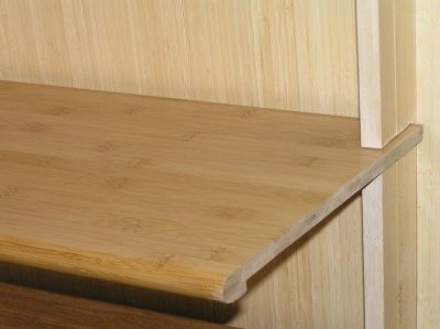 bamboo wainscoting