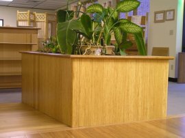 Bamboo Flooring pictures